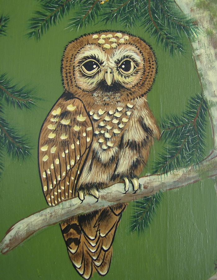 Spotted Owl Painting by Debra Campbell