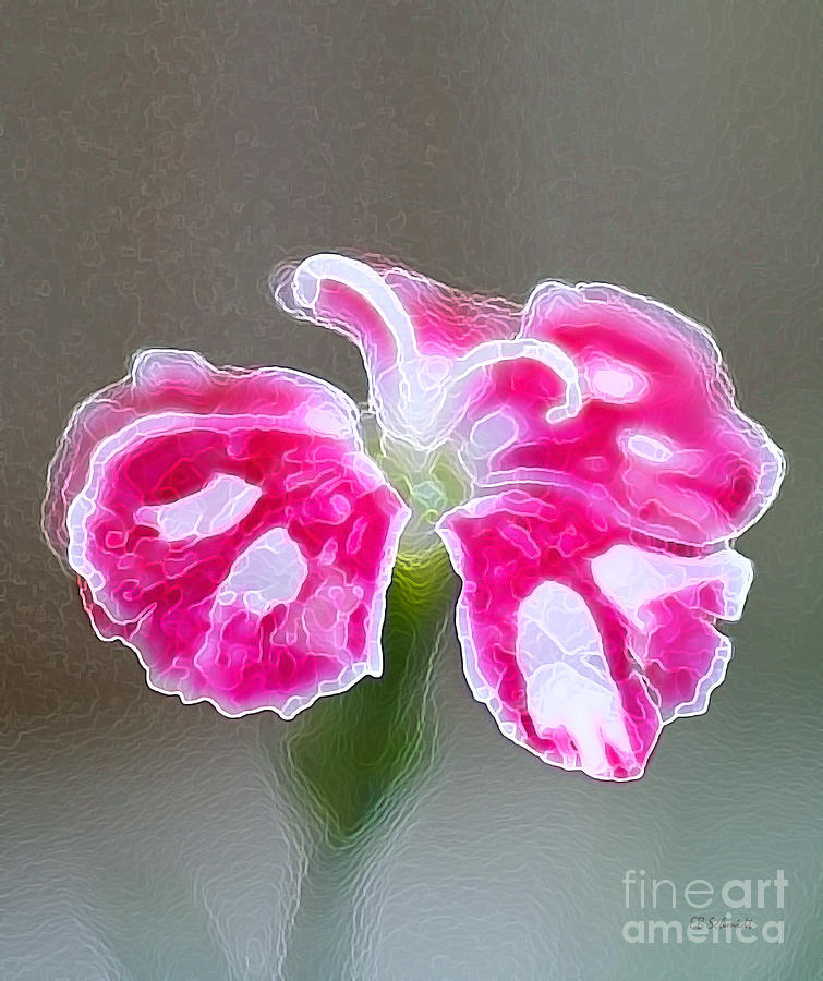 Spotted Pink Carnation Mixed Media by E B Schmidt