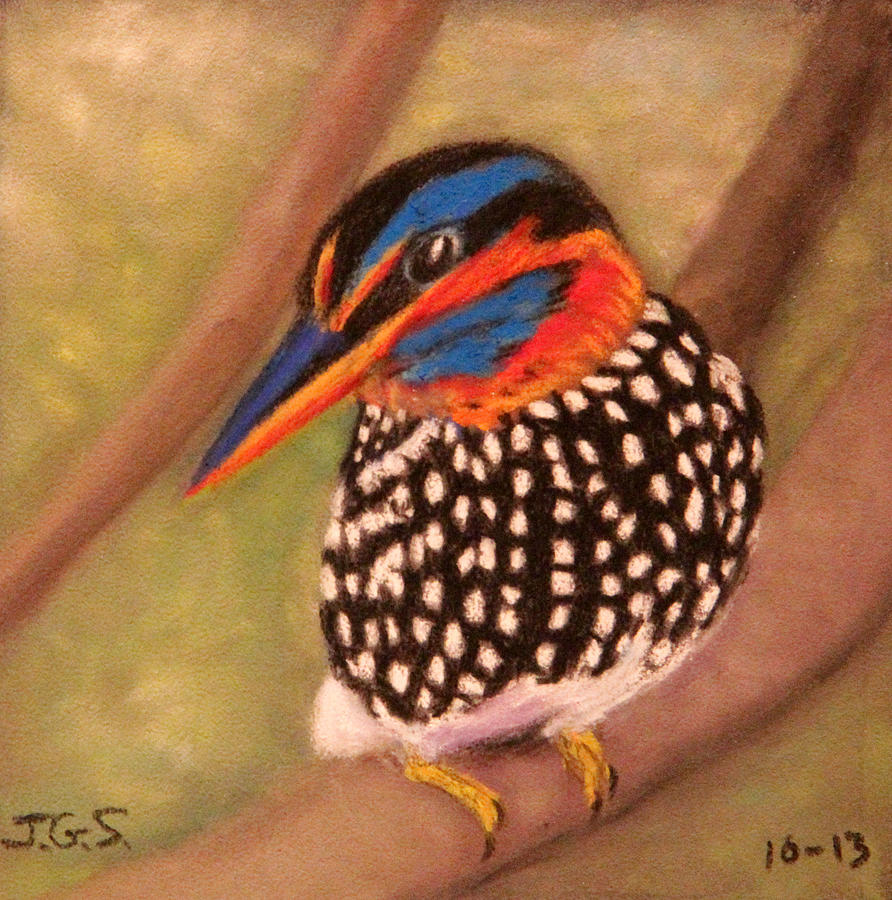 Spotted Wood Kingfisher Painting by Janet Greer Sammons