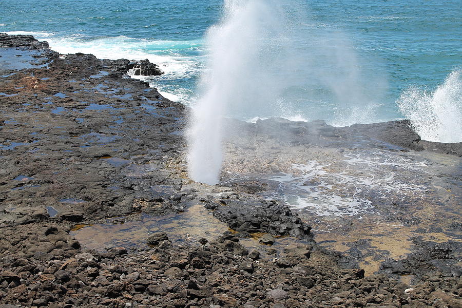 Spouting Horn Photograph by Robert Pennix - Fine Art America