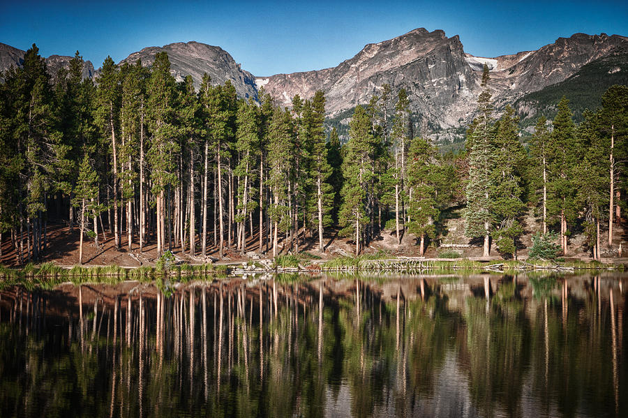 Sprague Lake Photograph by James Woody