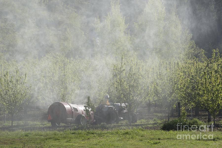 Spraying the Orchard Photograph by Michael Dawson