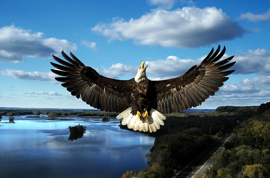 Spread Eagle  Mississippi River Photograph by Randall Branham