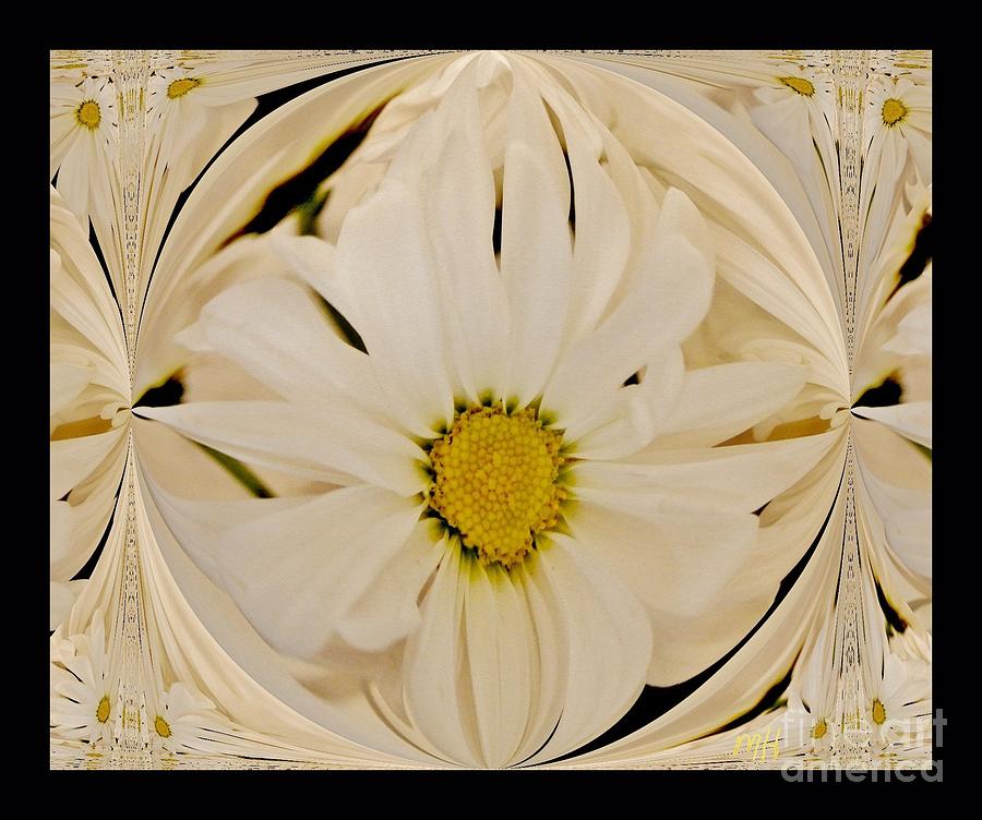 Spring Abstract Daisies Photograph by Marsha Heiken