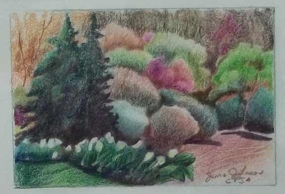 Garden Drawing - Spring Afternoon by Jane Johnson Garden Drawing - Spring Afternoon by Jane Johnson