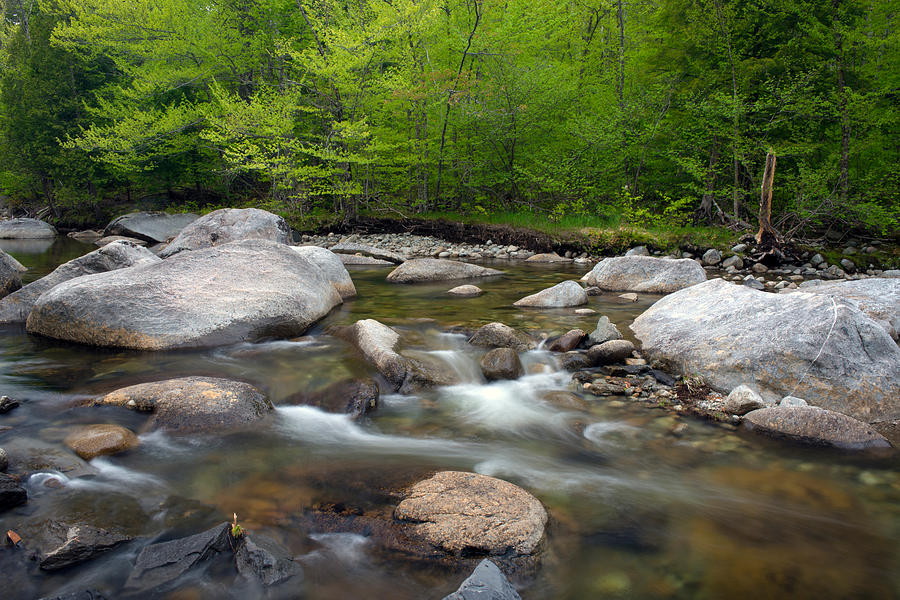 Spring Along The North Fork Photograph by Panoramic Images - Fine Art ...