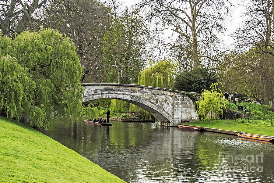 Spring and the River Cam Photograph by Elvis Vaughn