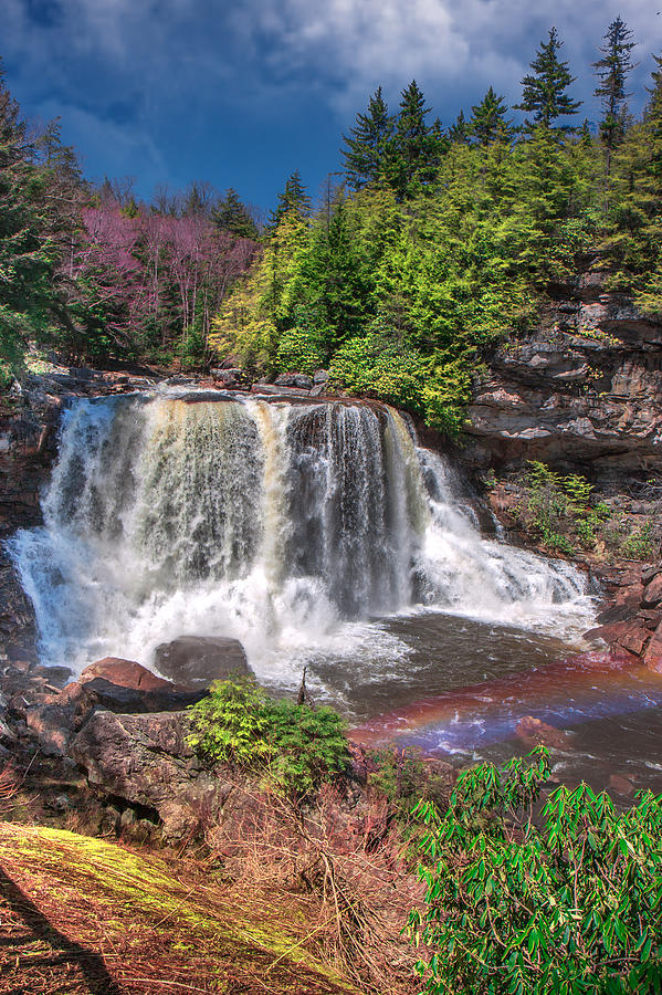 Spring at Blackwater Falls Photograph by Mary Almond