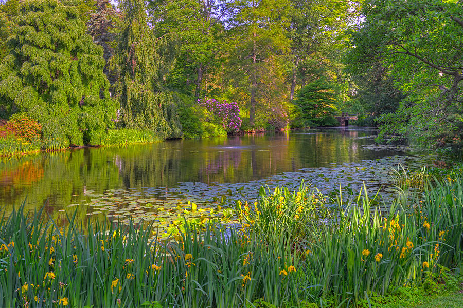 Spring Morning at Mount Auburn Cemetery Photograph by Ken Stampfer