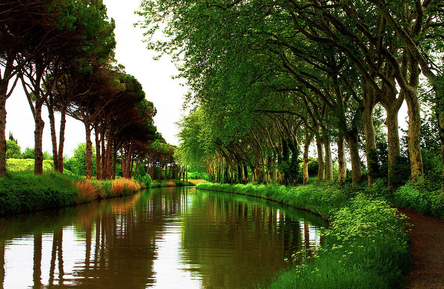 Spring At The Canal Du Midi Photograph by Elfi Kluck