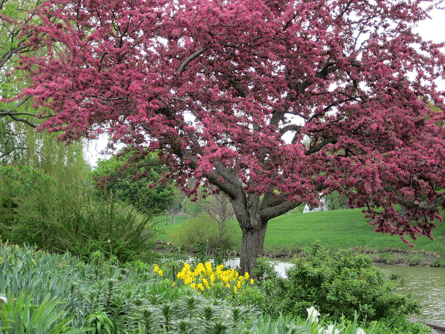 Spring at the Gardens Photograph by Kathie Chicoine