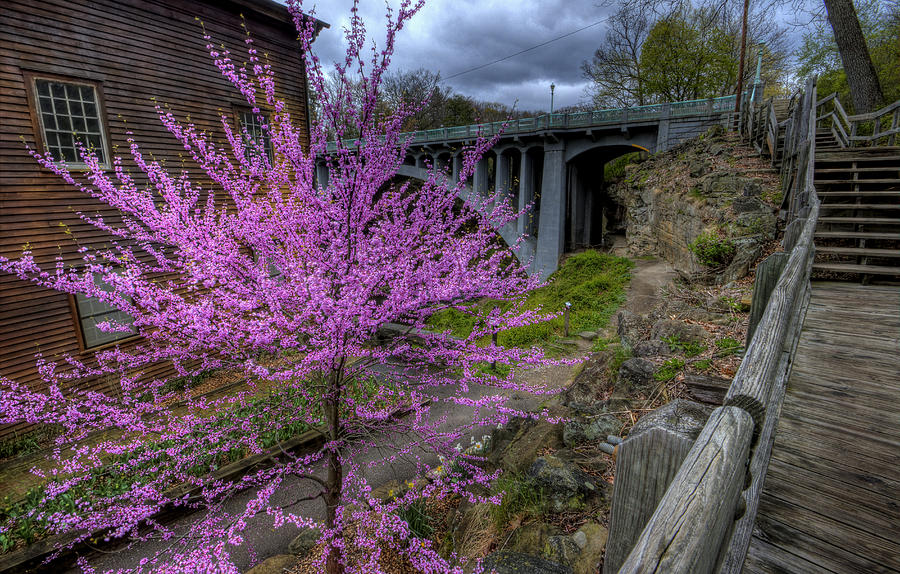 Spring at the Mill Photograph by David Dufresne