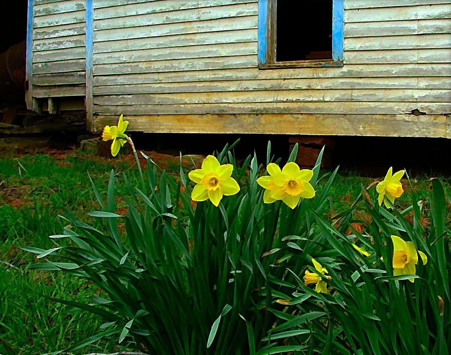 Spring Photograph - Spring at the Old Home Place by Julie Dant