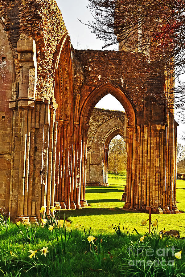 Spring at the Ruins Photograph by Elvis Vaughn
