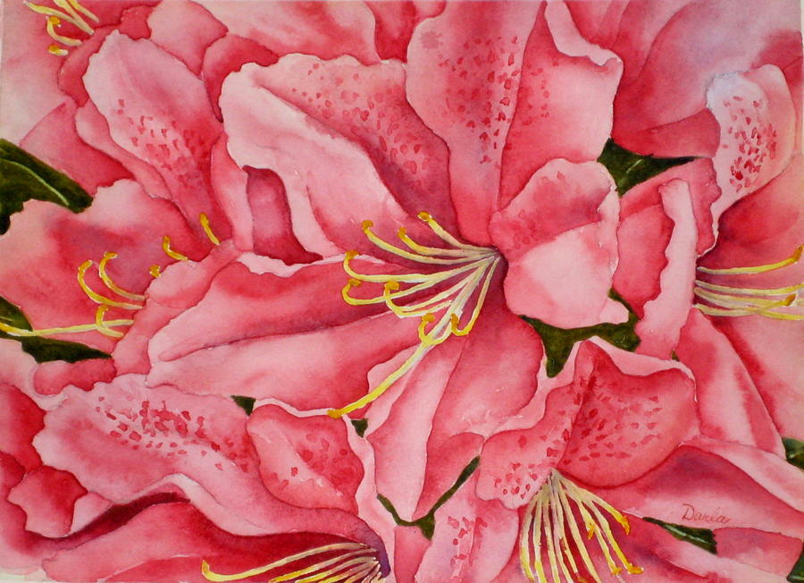 Watercolor Painting Art & Collectibles Pink Azalea Blossoms 11x15 ...