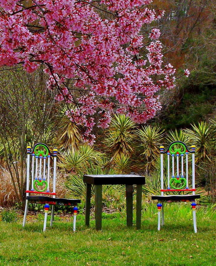 Spring Begins in Wonderland Photograph by Rodney Lee Williams