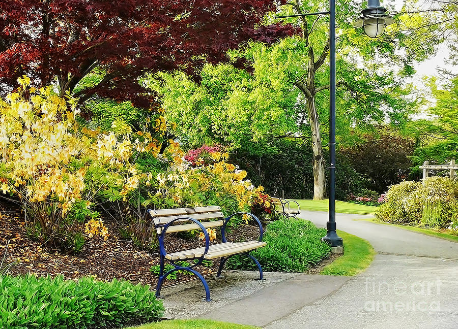 Spring Bench in the Park Photograph by Maria Janicki