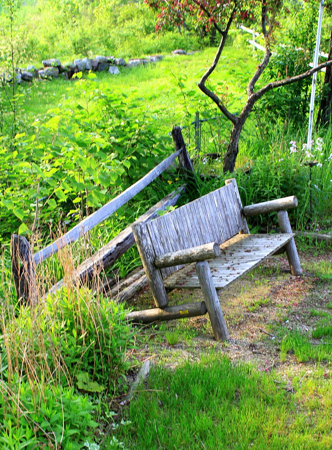 Spring Bench Photograph by Suzanne DeGeorge
