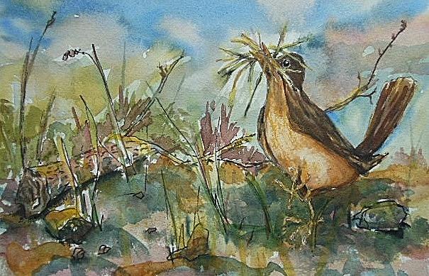Robin Painting - Spring Robin by Barbara McGeachen