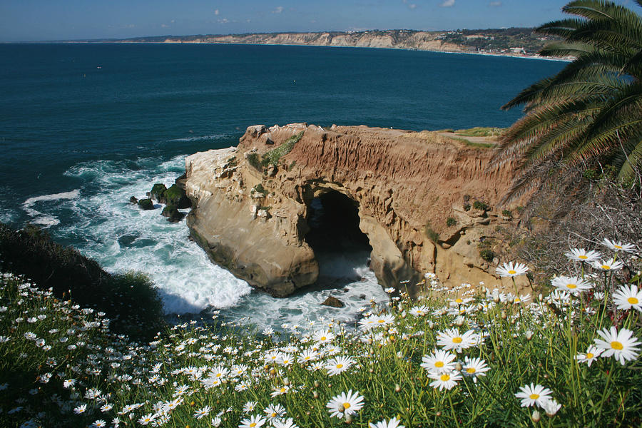 Spring Bloom at the Cove Photograph by Scott Cunningham