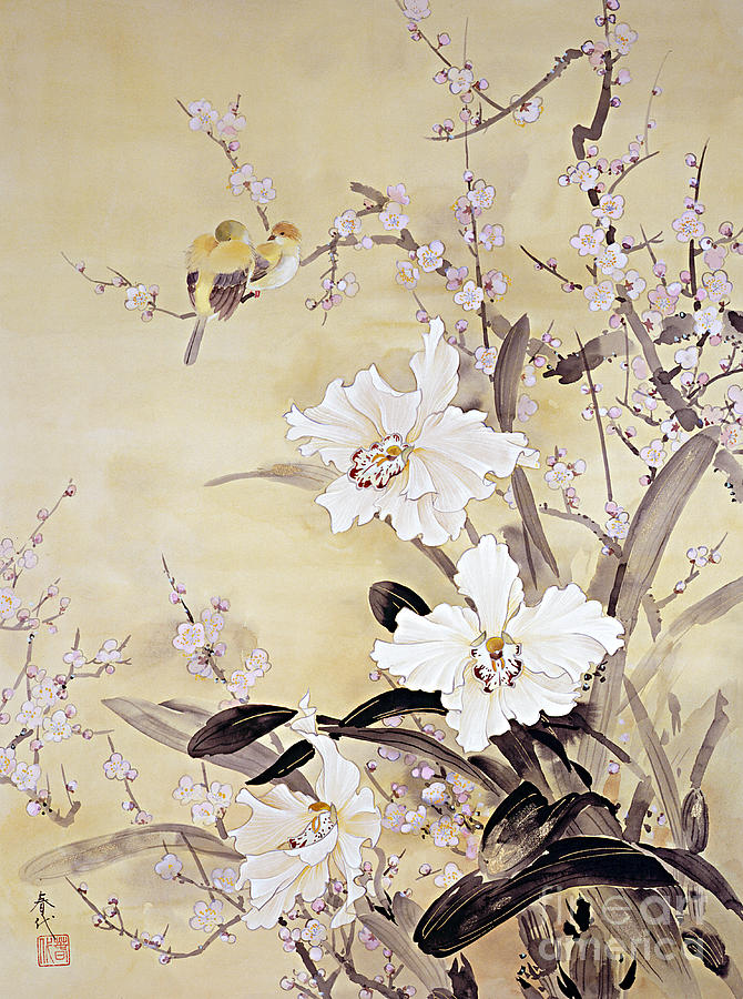 Spring Blossom Digital Art by MGL Meiklejohn Graphics Licensing