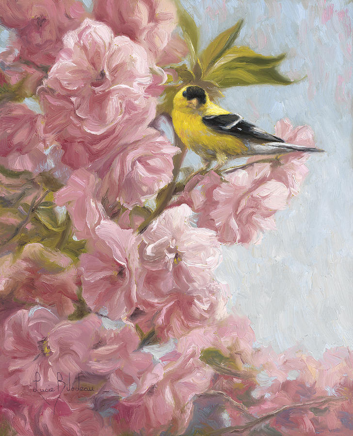 American Goldfinch Painting - Spring Blossoms by Lucie Bilodeau