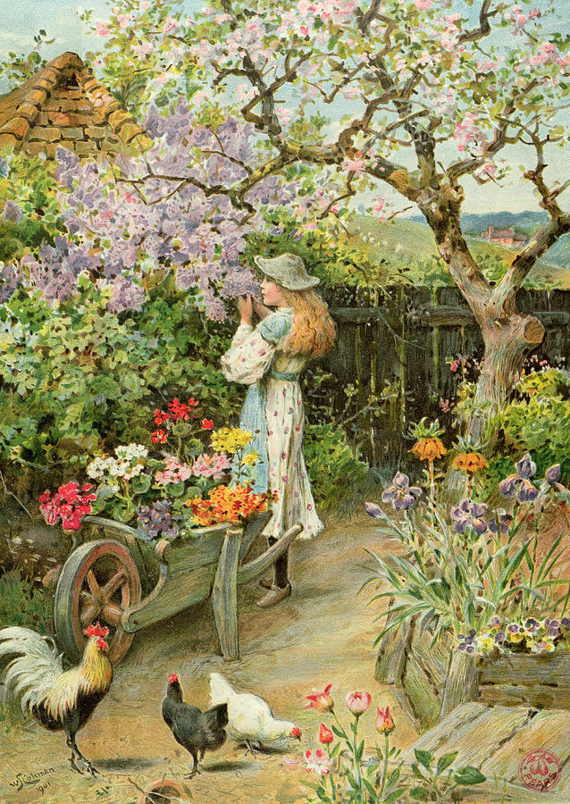 Chicken Painting - Spring Blossoms by William Stephen Coleman