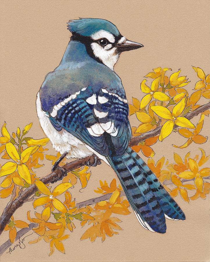 Blue Jay Painting - Spring Blue Jay 3 by Tracie Thompson