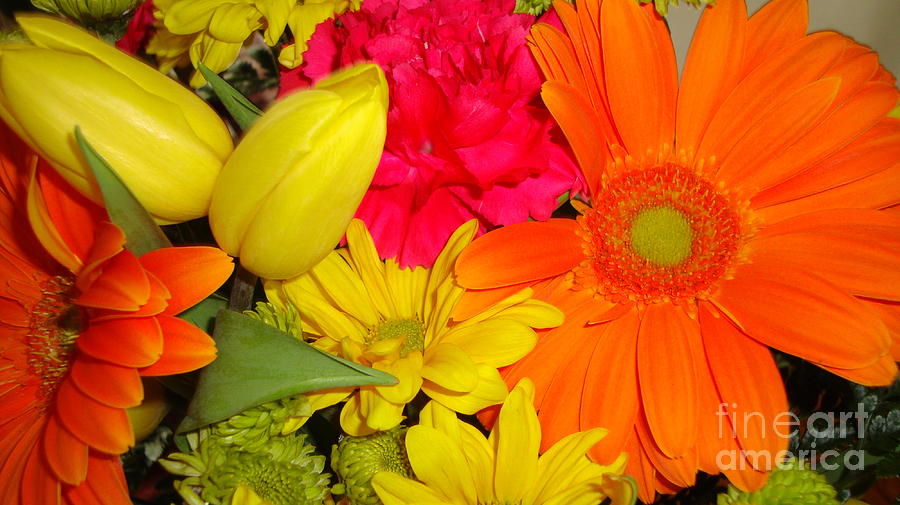 Flower Photograph - Spring Bouquet by Margaret Hamilton