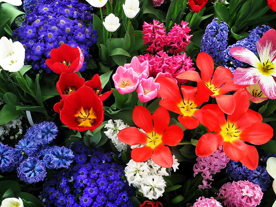 Spring Bouquet by Sandy Scharmer Spring Bouquet by Sandy Scharmer