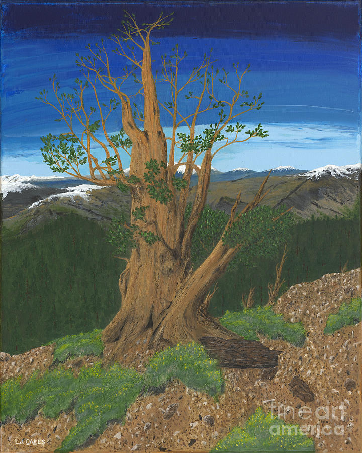 Spring Bristlecone Pine Painting by L J Oakes