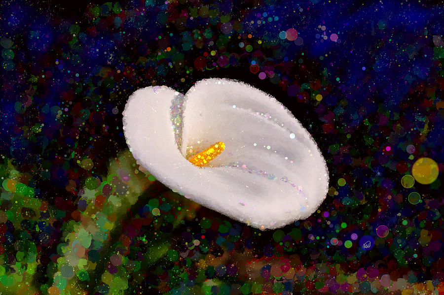 Spring Bubbles of a Calla Lily  Painting by Angela Stanton