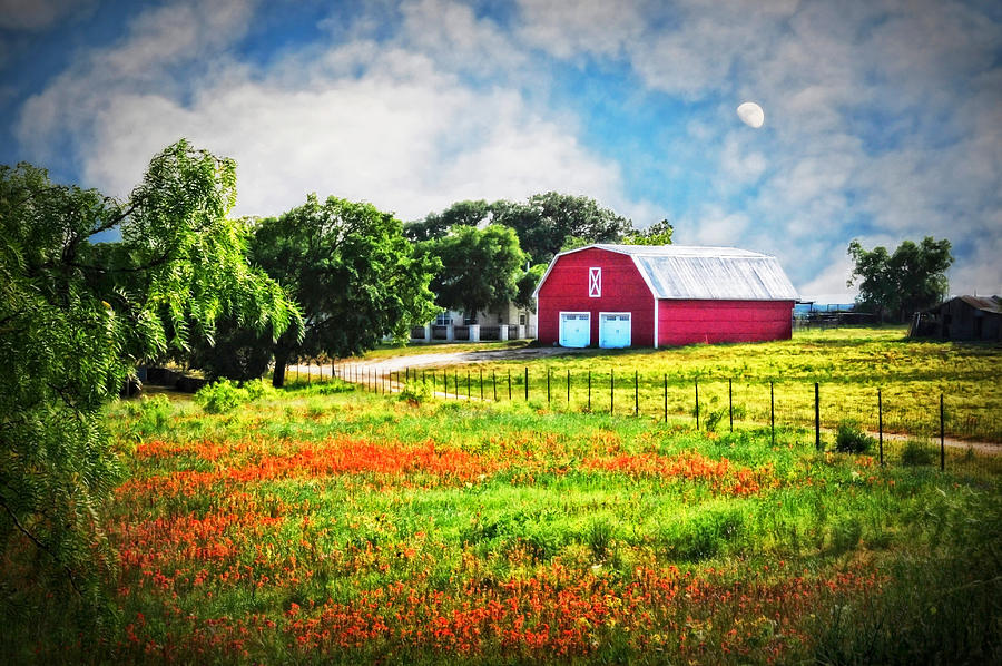 Spring Charm in the Hill Country Photograph by Lynn Bauer