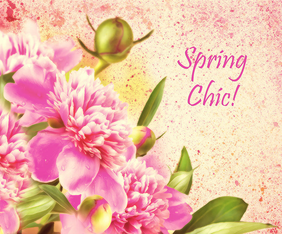 Spring Chic Photograph