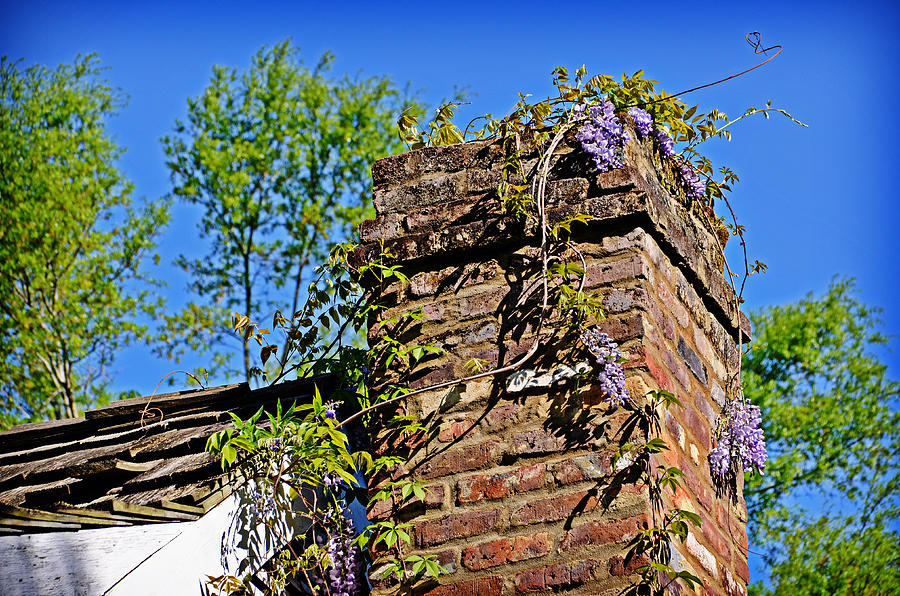 Spring Chimney Photograph by Linda Brown