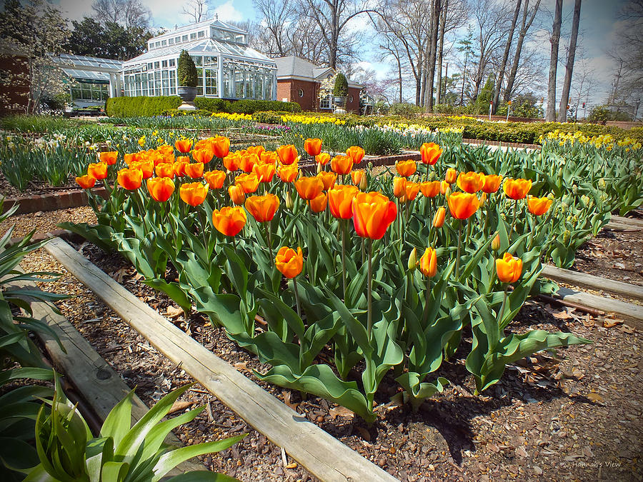 Spring Colors Are Here by Hannah Underhill