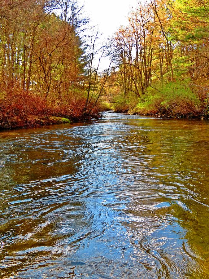 Spring Colors at the Brook Photograph by MTBobbins Photography - Fine ...