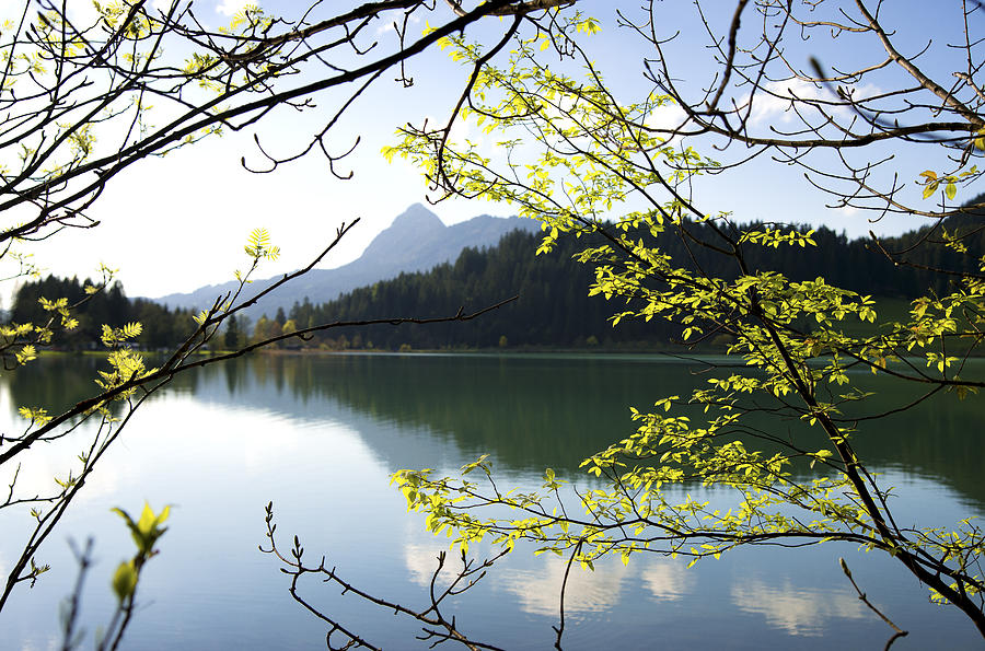 Spring colors bright green leaves and light blue lake Photograph by Matthias Hauser