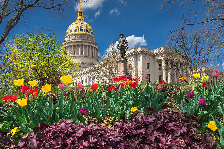 Tulip Photograph - Spring comes to WV Capitol by Mary Almond