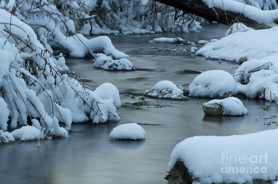 Spring Creek Photograph by Dan Hefle