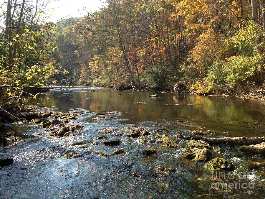 Spring Creek Fall Photograph by Mark Messenger