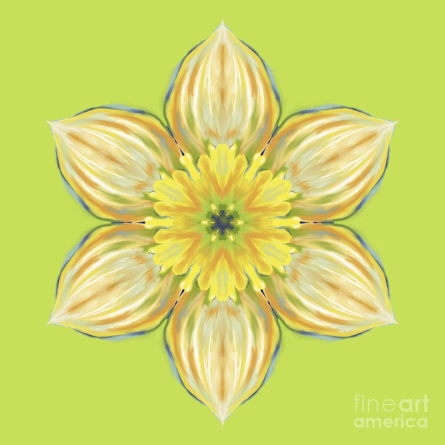 Spring Daffodil Abstract Digital Art by MM Anderson