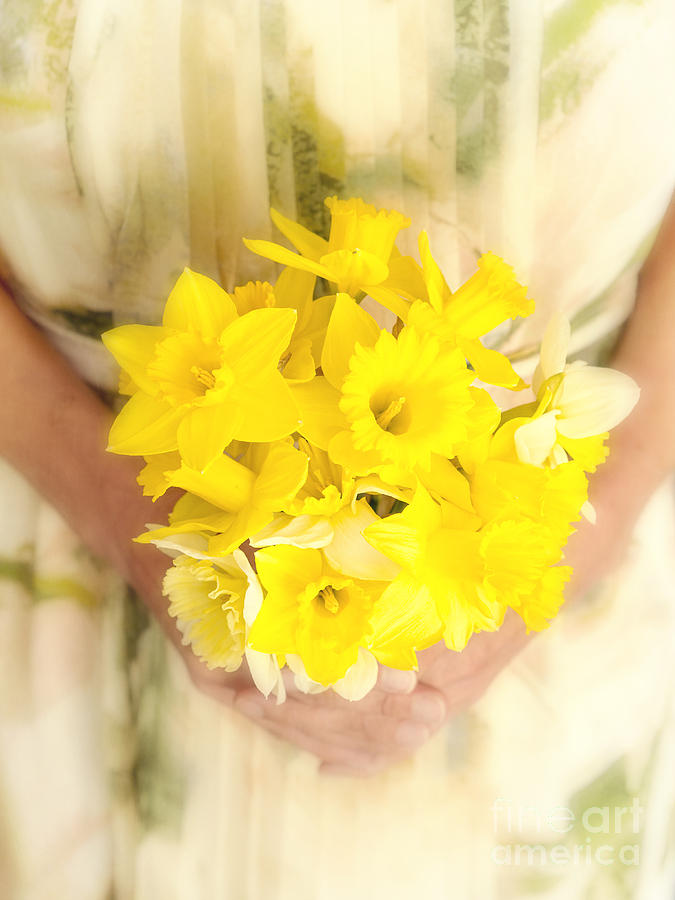 Flower Photograph - Spring Daffodils by Edward Fielding