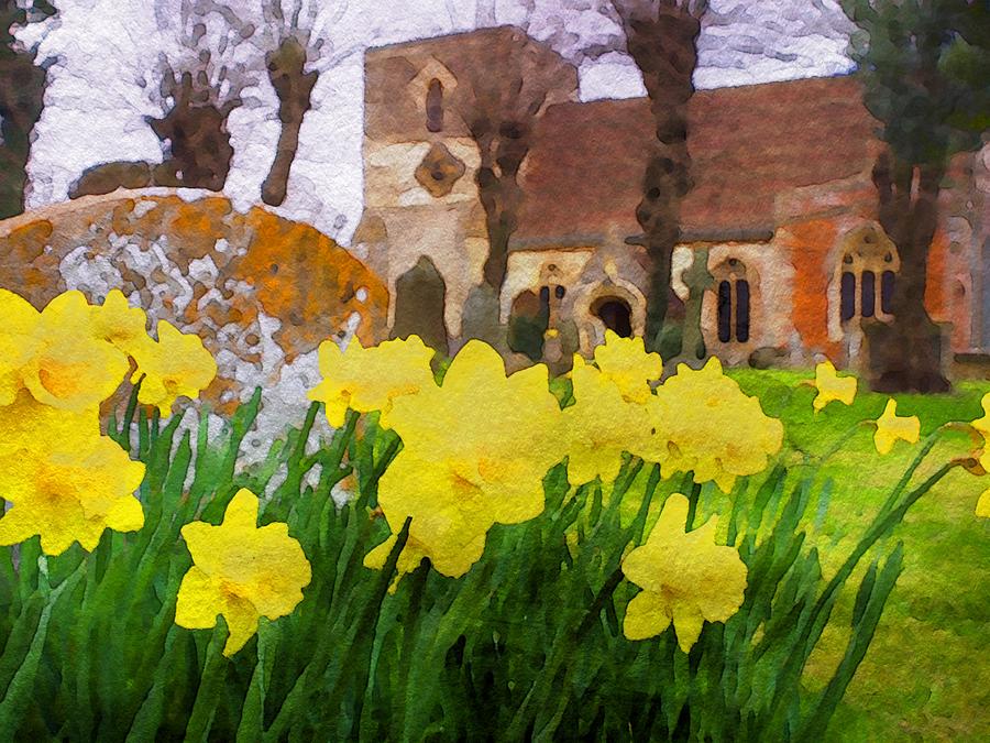 Spring Daffodils Photograph by Mark Llewellyn