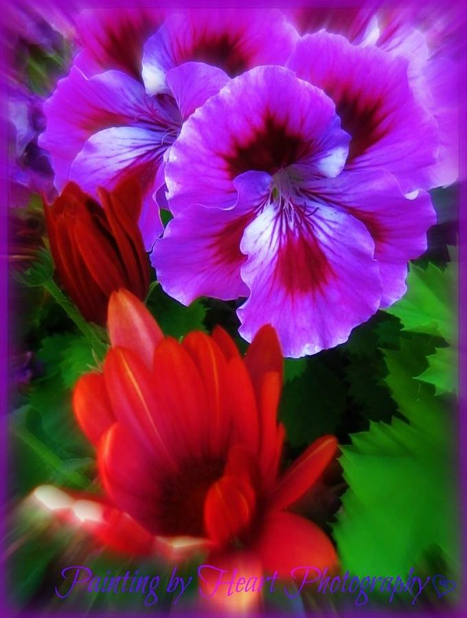 Spring by Deahn Benware Spring by Deahn Benware