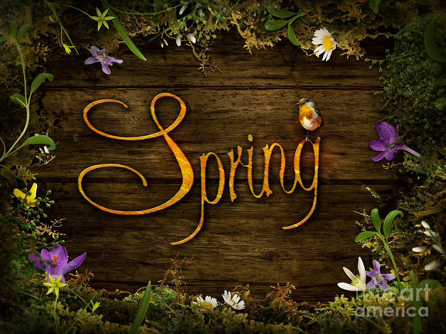 Nature Digital Art - Spring design - Flower wreath by Mythja Photography