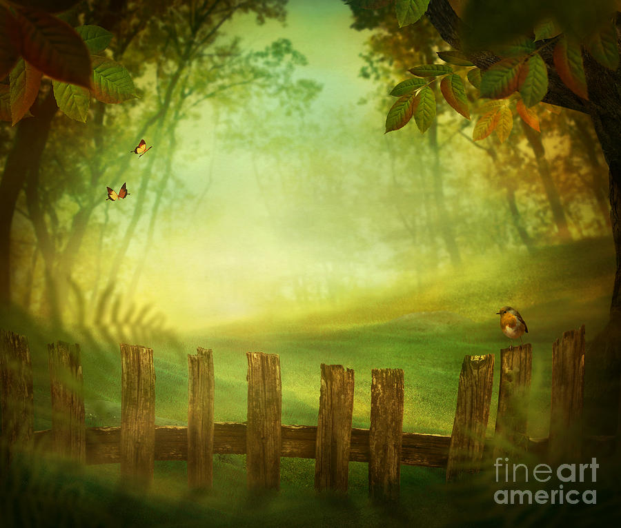 Spring Digital Art - Spring design - Forest with wood fence by Mythja Photography