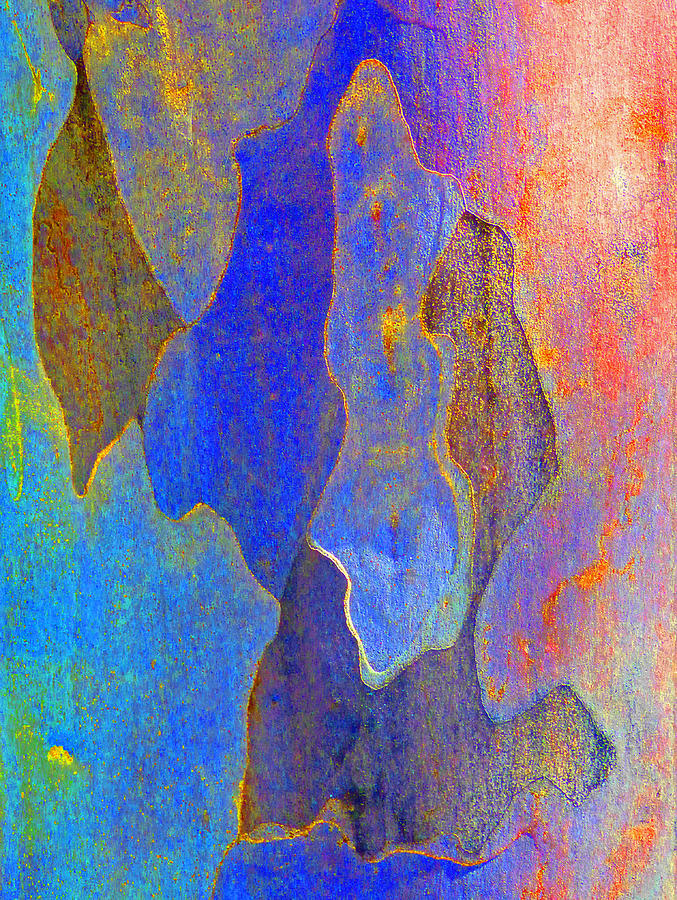 Spring Eucalypt Abstract 10 Photograph by Margaret Saheed