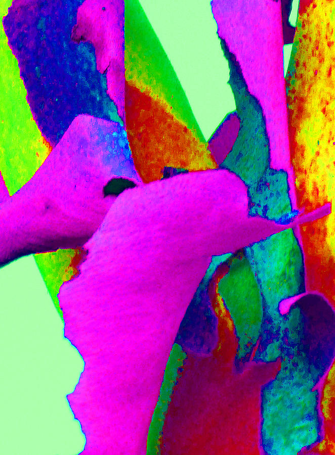 Spring Eucalypt Abstract 15 Photograph by Margaret Saheed