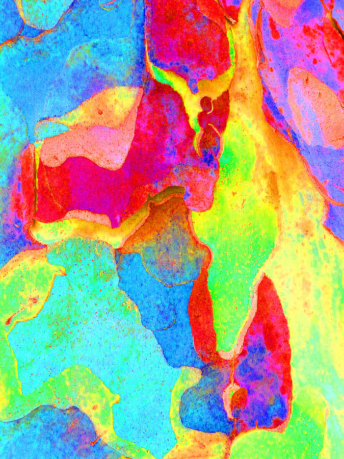 Spring Eucalypt Abstract 16 Photograph by Margaret Saheed
